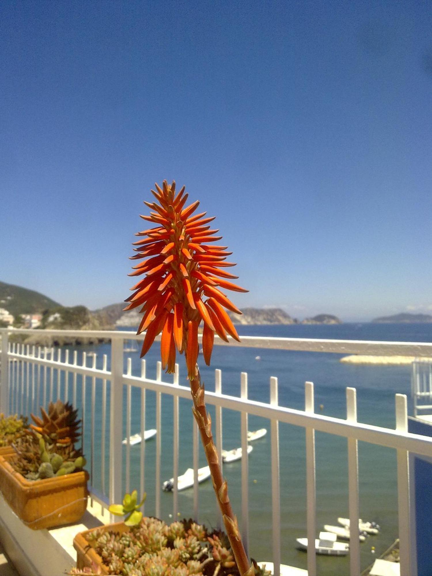 Hotel La Baia Ponza Dış mekan fotoğraf